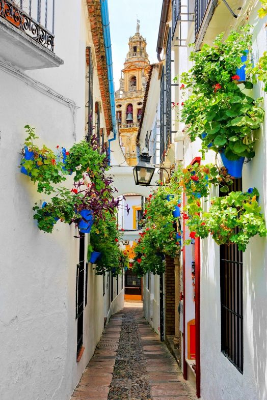 bigstock Famous Flower Filled Lane In T 282899782