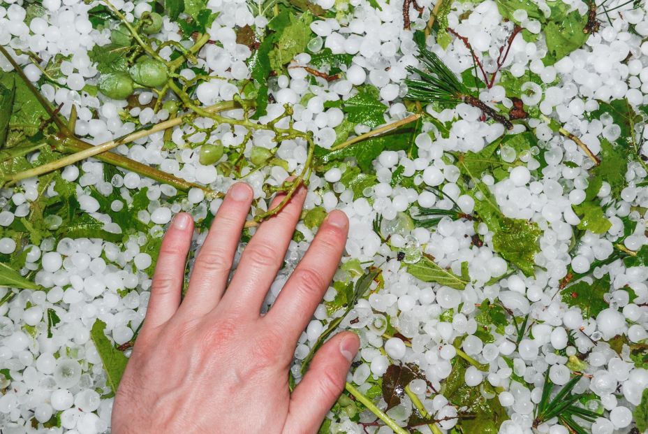 ¿Quién paga las indemnizaciones por desastres naturales?