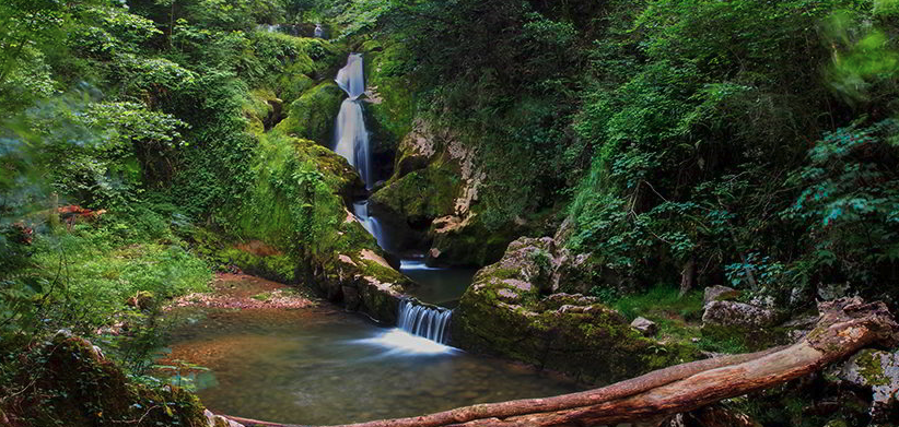 Parque del Príncipe