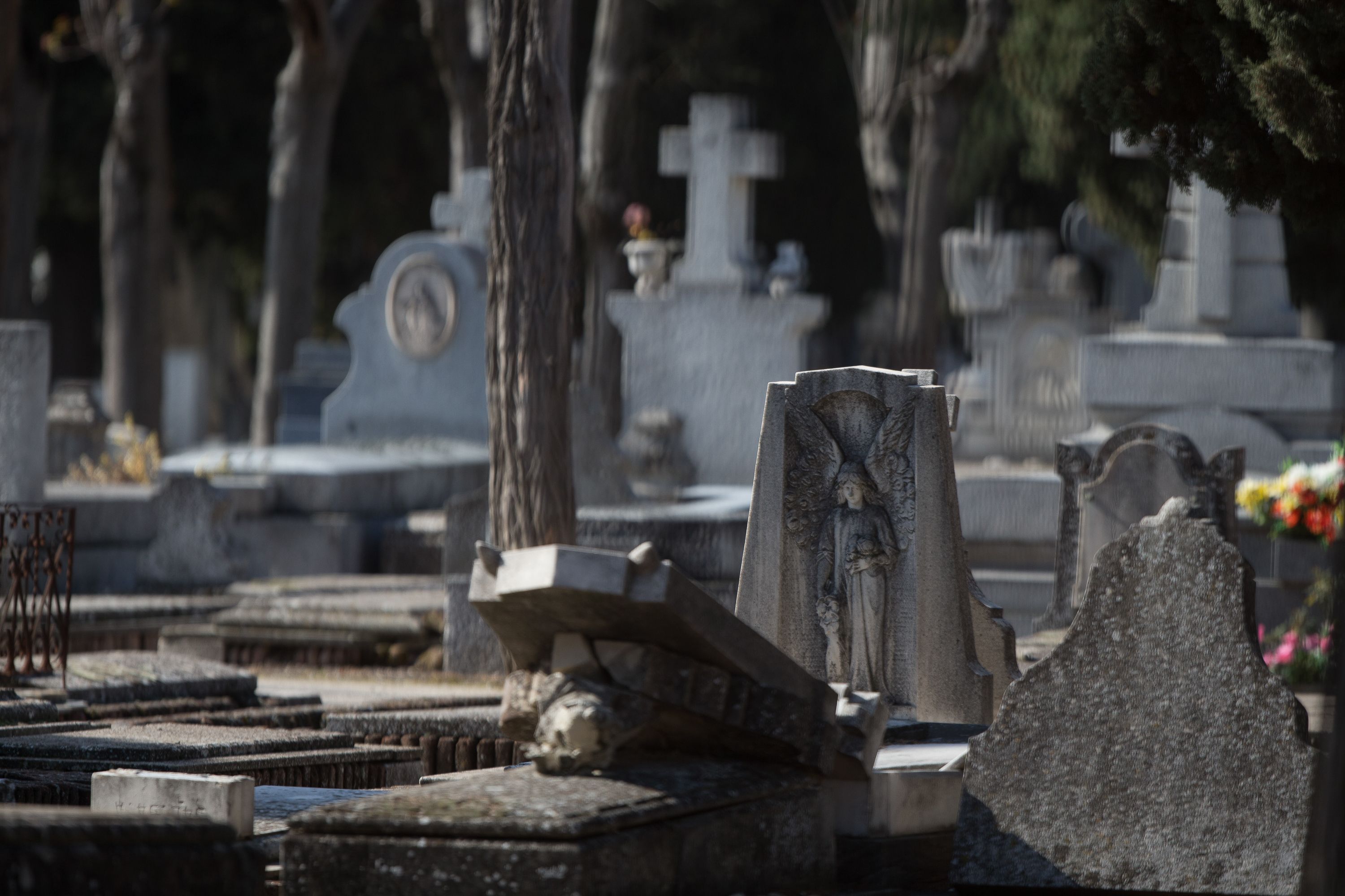 EuropaPress 2738092 ataudes lapidas cementerio almudena donde hoy reanudado actividad centro