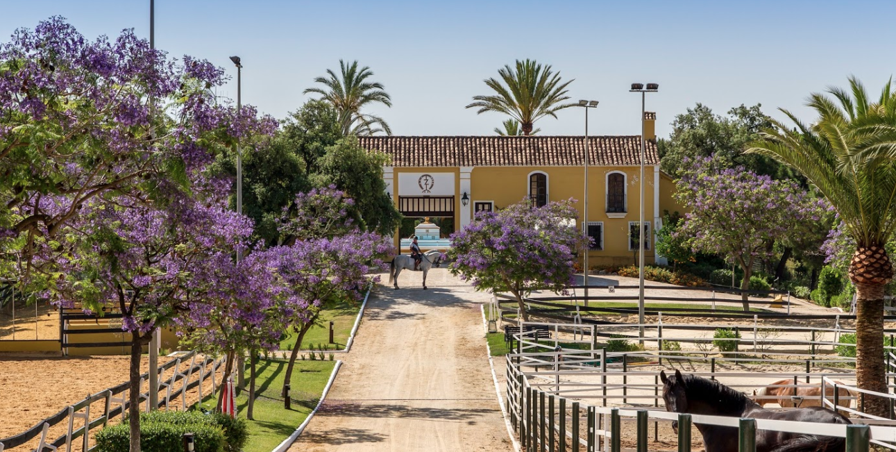 Descubre cuáles son las dos calles más caras de España