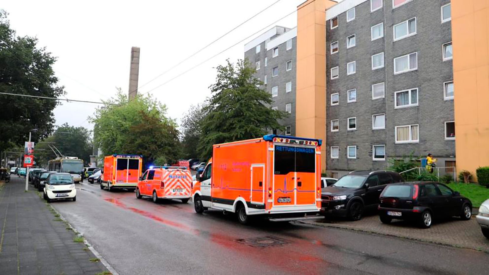 Una mujer mata a cinco de sus seis hijos en Alemania y después intenta suicidarse