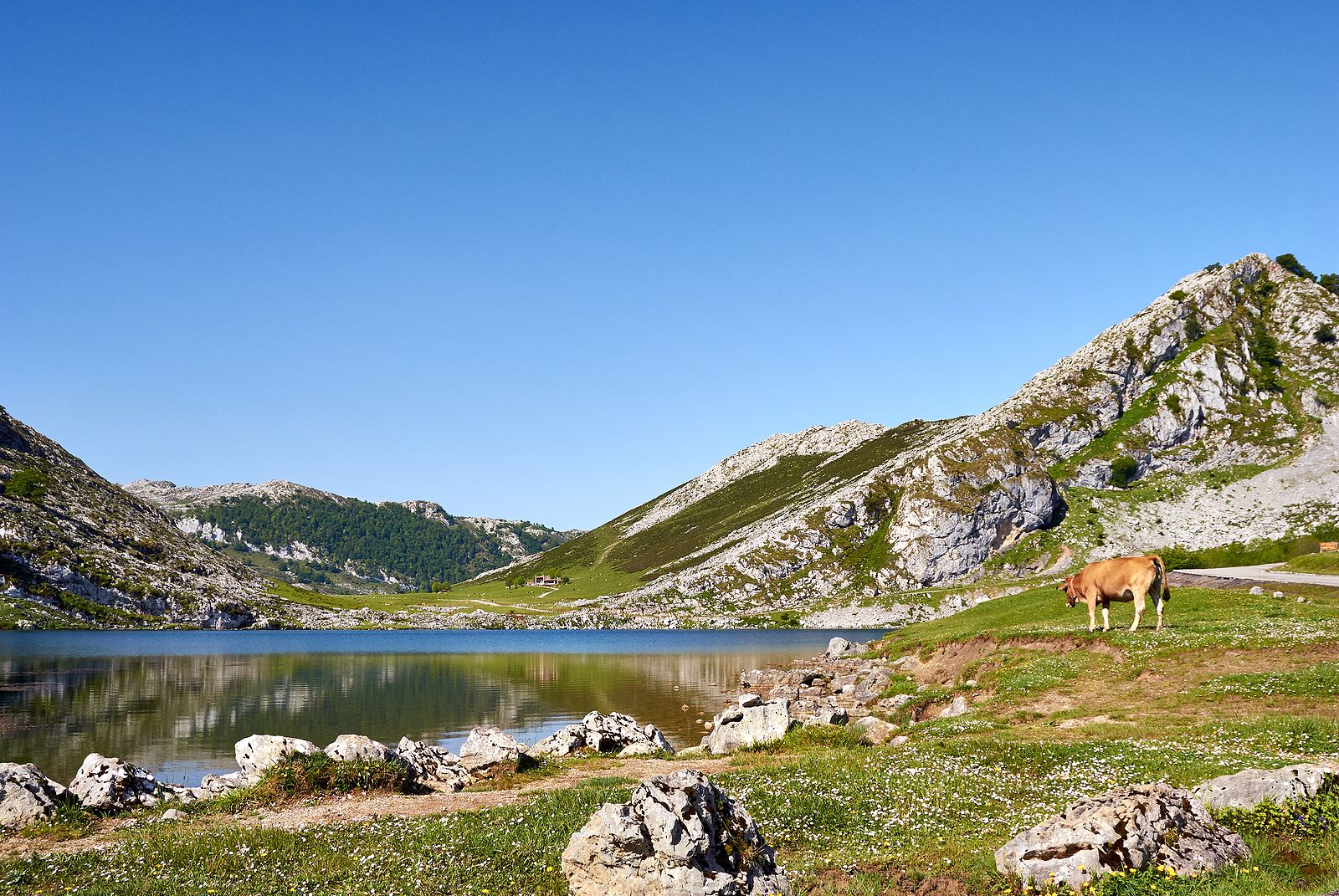 Los mejores lugares en el Principado para disfrutar del Día de Asturias