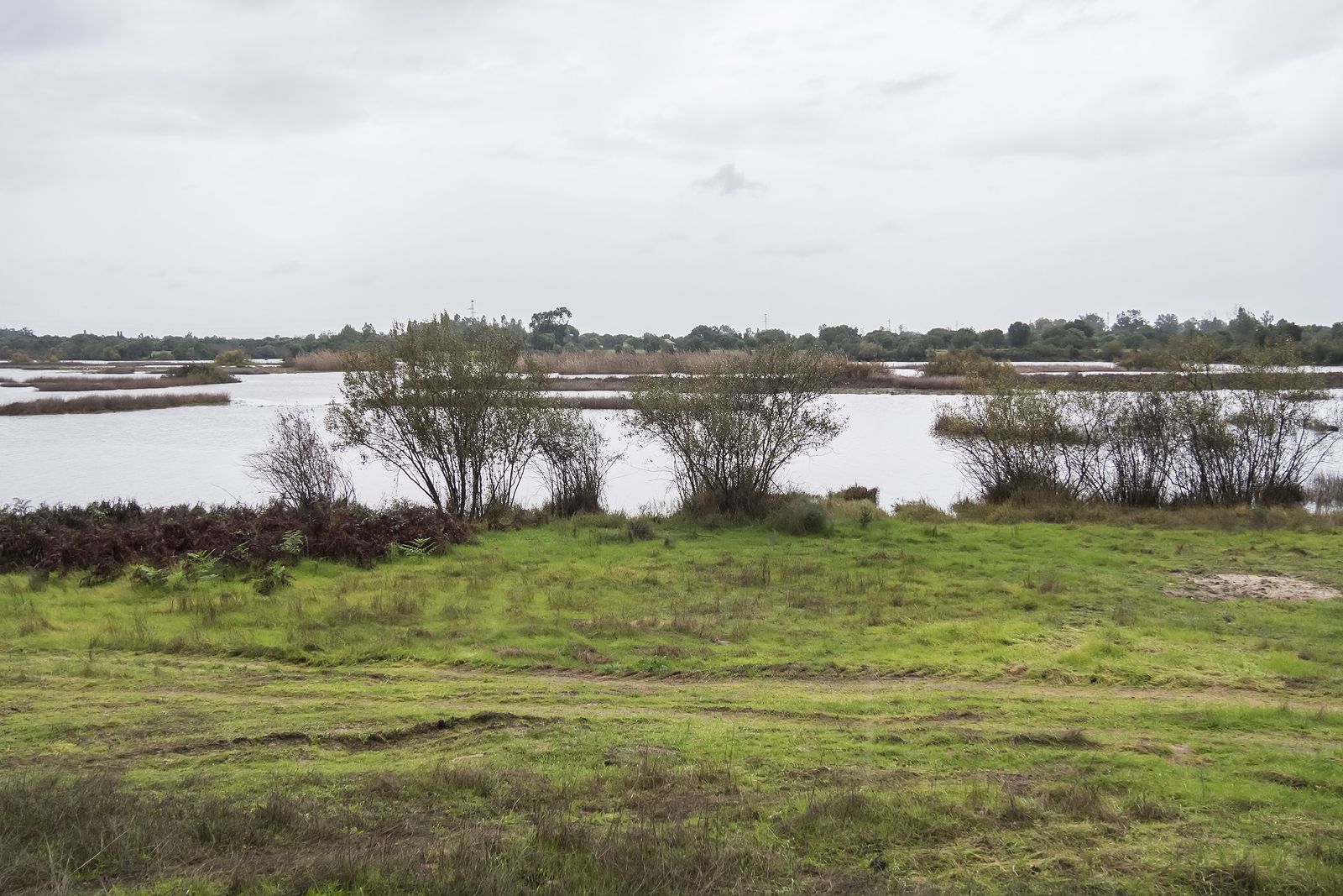 Parque Nacional Doñana (bigstock)