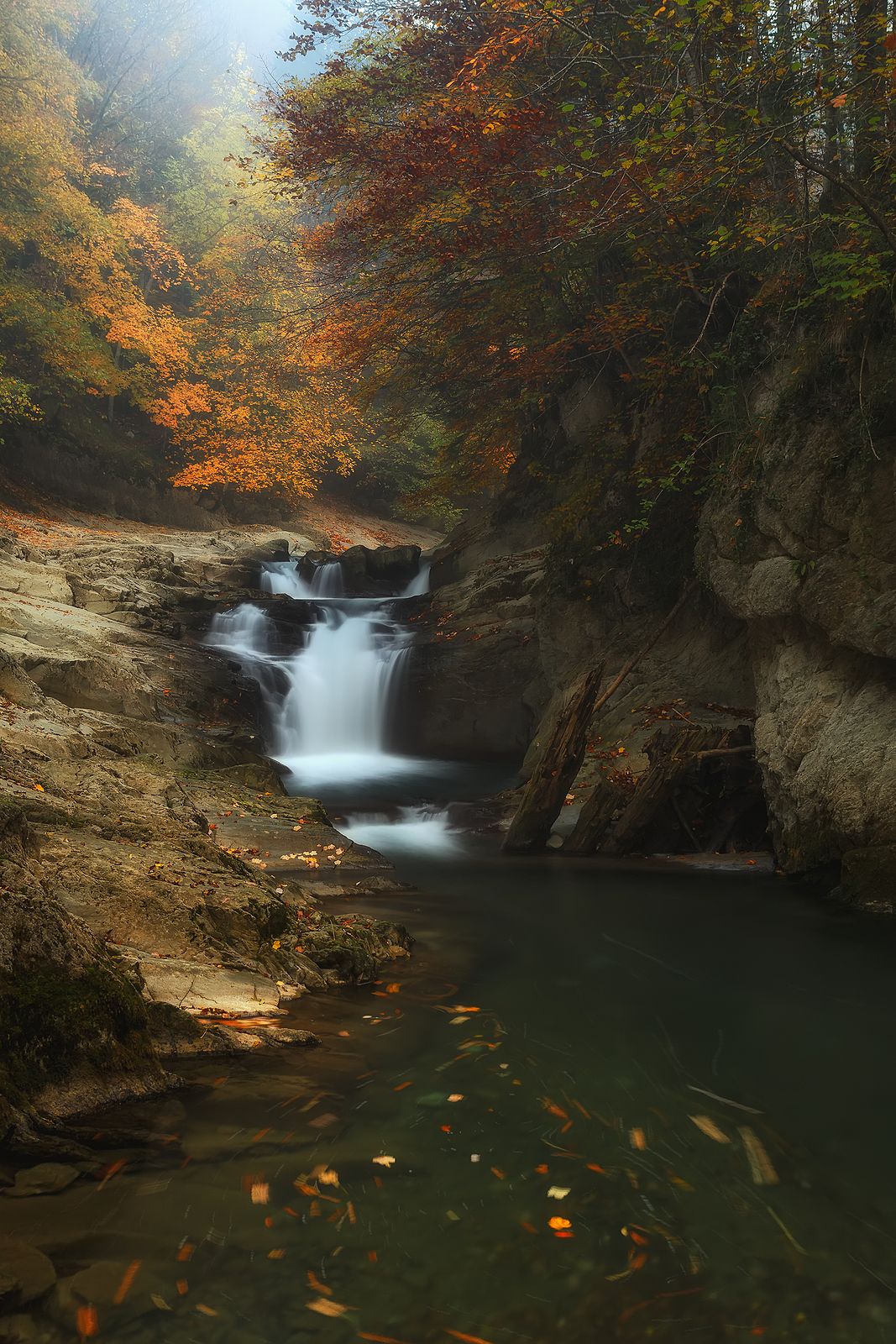 Una gran lugar para disfrutar del otoño: la Selva de Irati