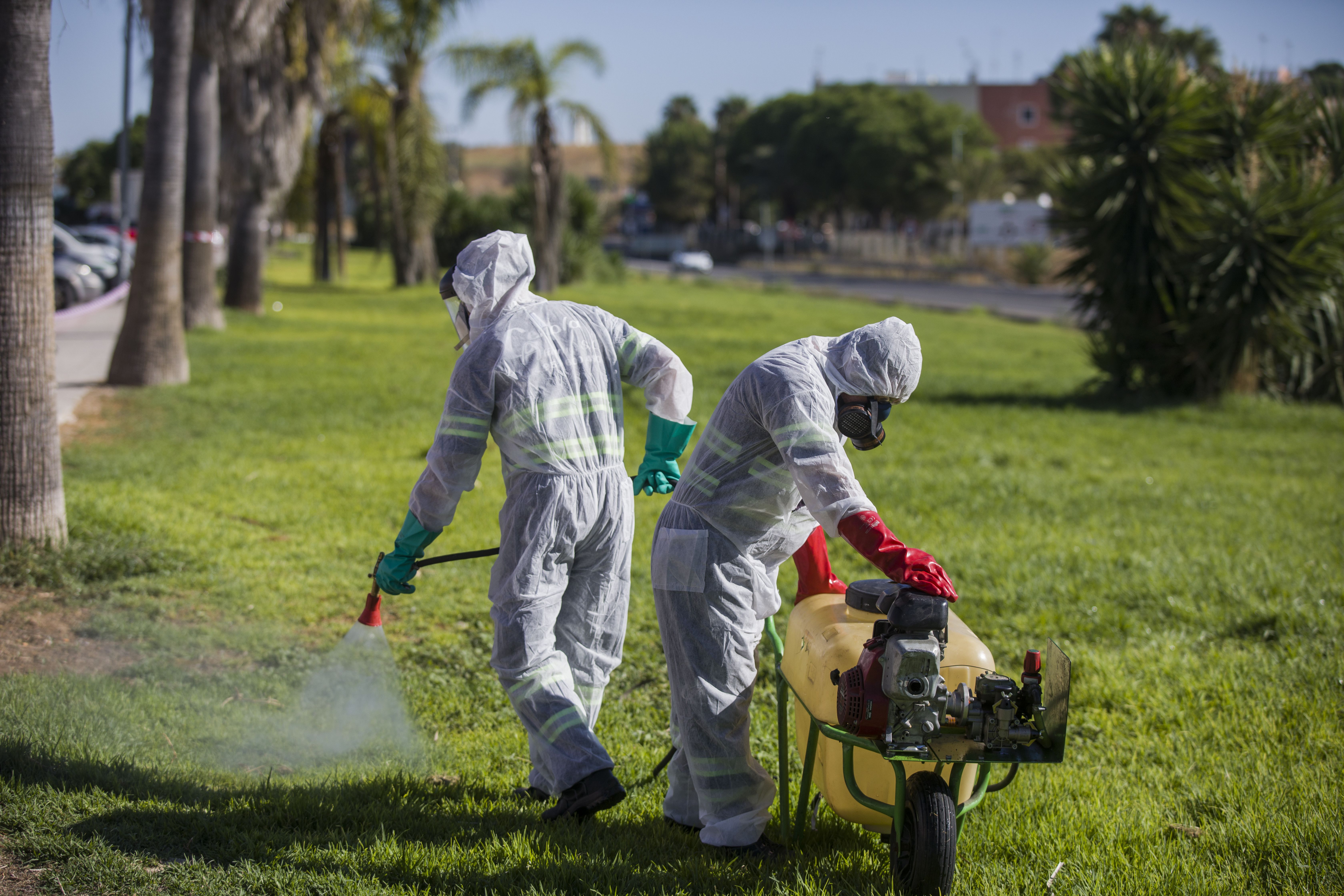 El virus del Nilo causa una cuarta muerte en Sevilla, un hombre de 77 años