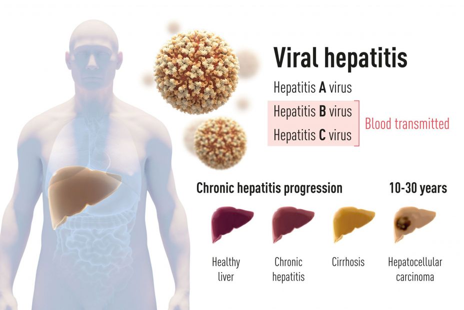 medicine2020 figure1 en