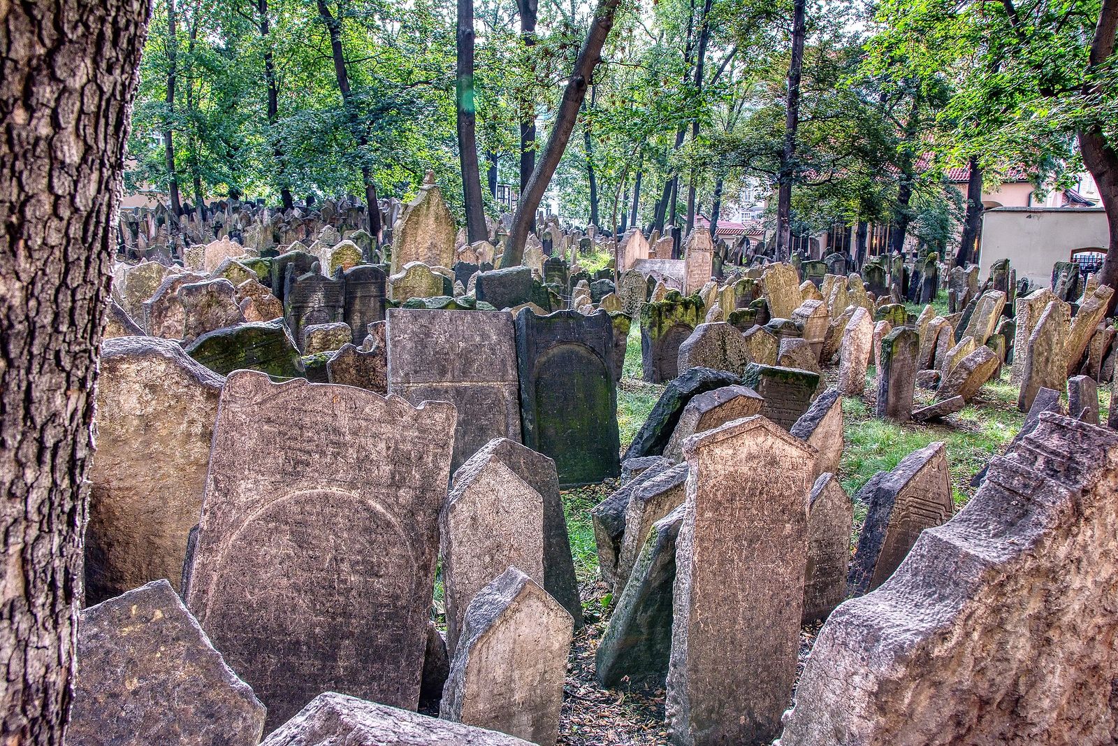 ¿Sabías que en algunas ciudades se visitan sus cementerios? Estos son los más visitados