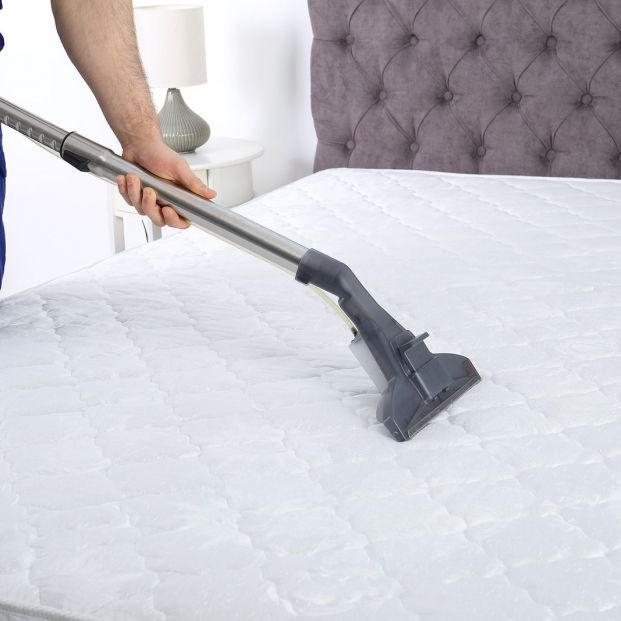 bigstock Man Disinfecting Mattress With 283100257