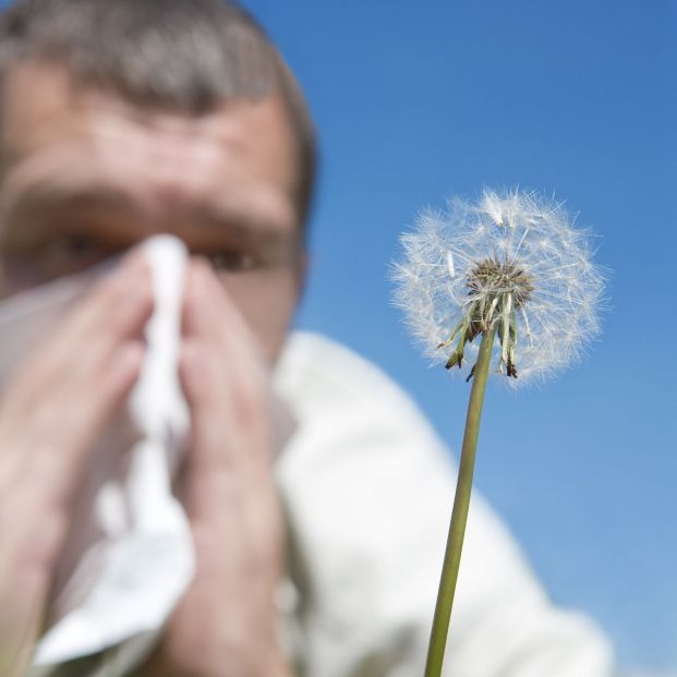 Alergia al polen