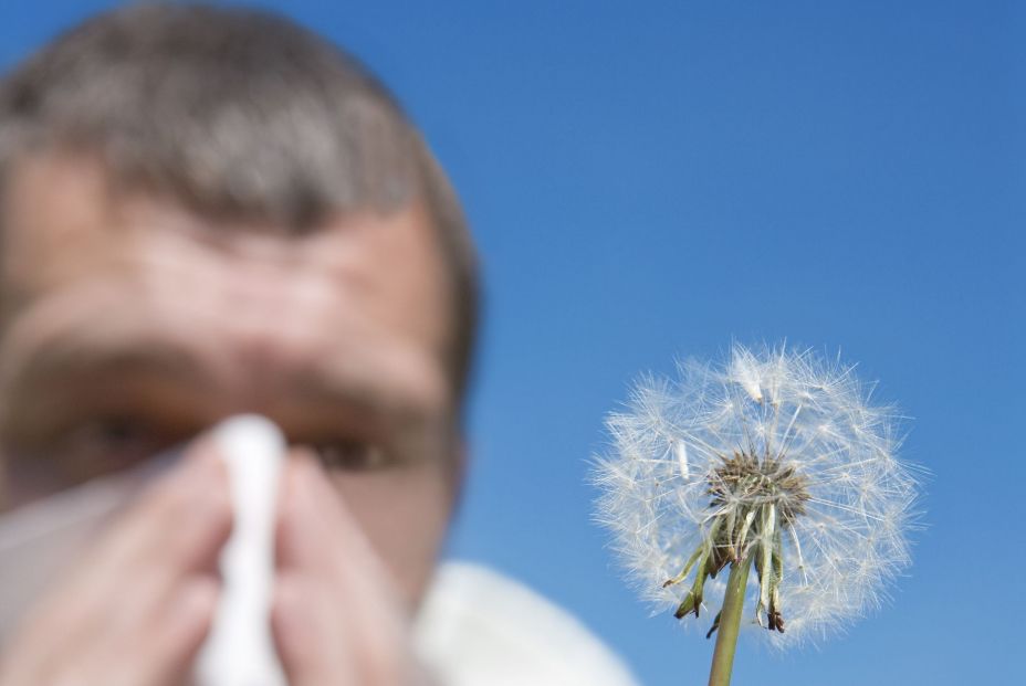 Alergia al polen