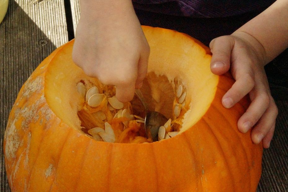 pumpkin 201102 1920