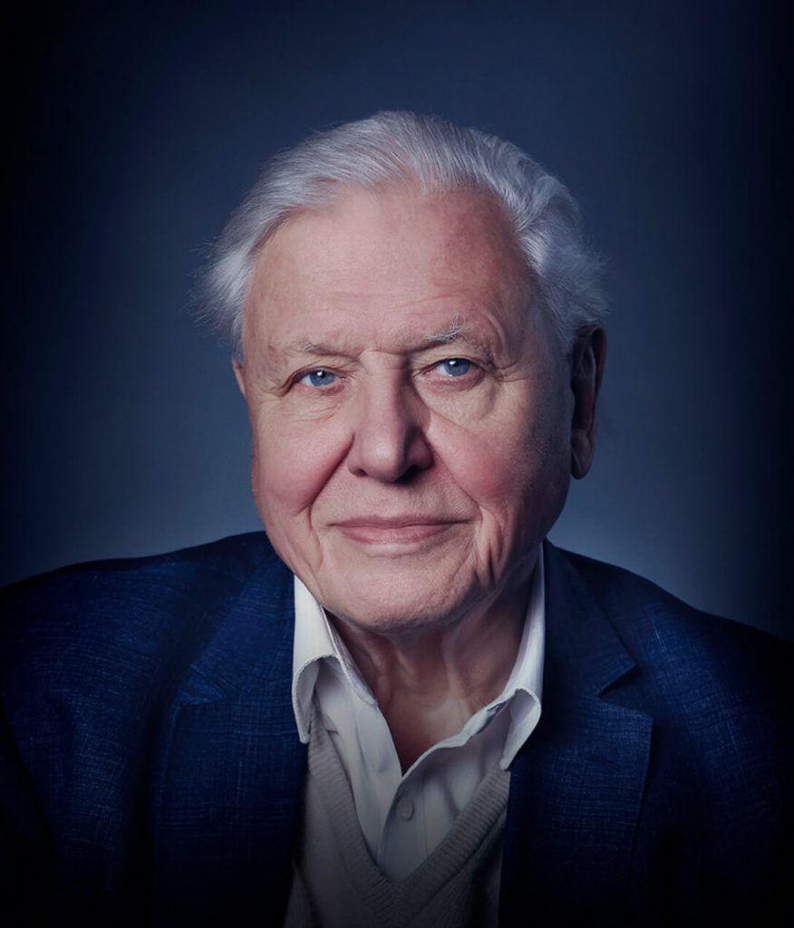 David Attenborough, de 94 años, consigue un millón de seguidores en Instagram en menos de 5 horas