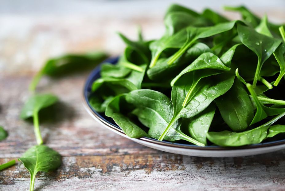 bigstock Fresh Baby Spinach On A Plate  359864971