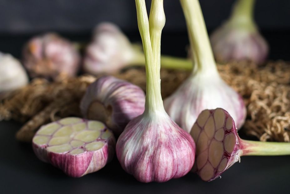 bigstock Fresh Garlic Garlic On A Blac 300706837