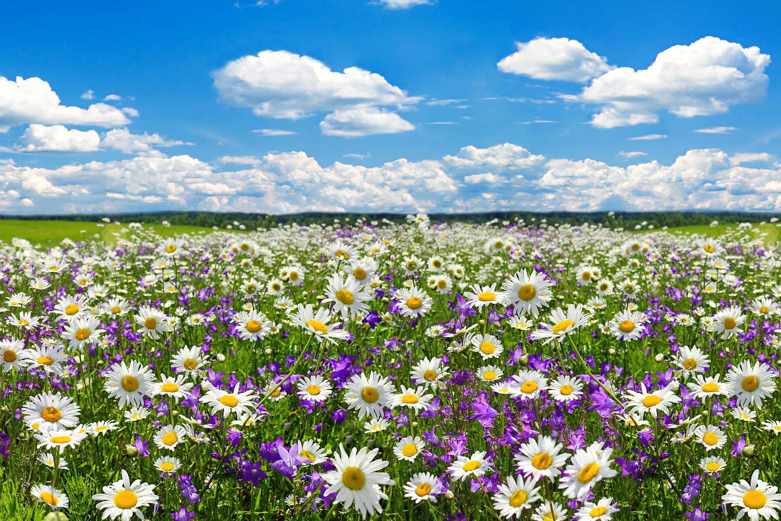 Qué efectos provoca la primavera en los mayores?