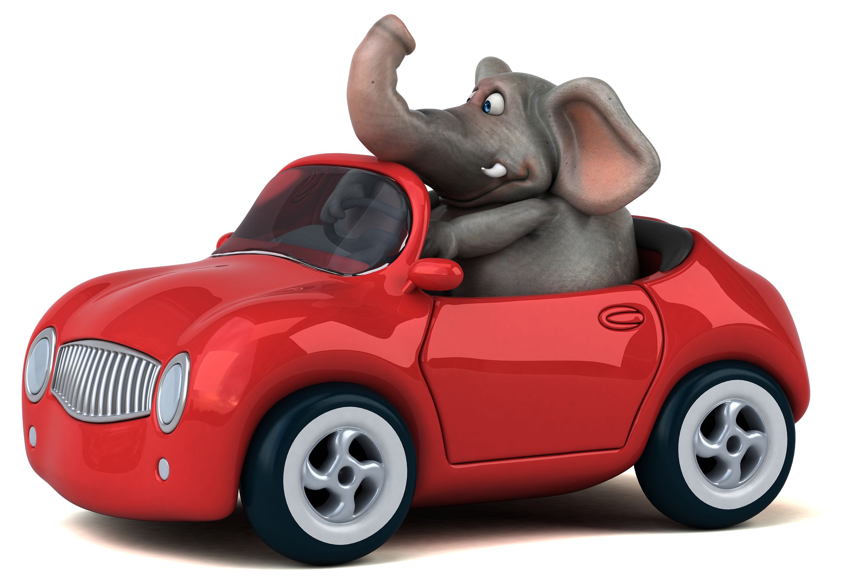 ¿Sabes qué es el efecto elefante? La DGT comienza a concienciar sobre él