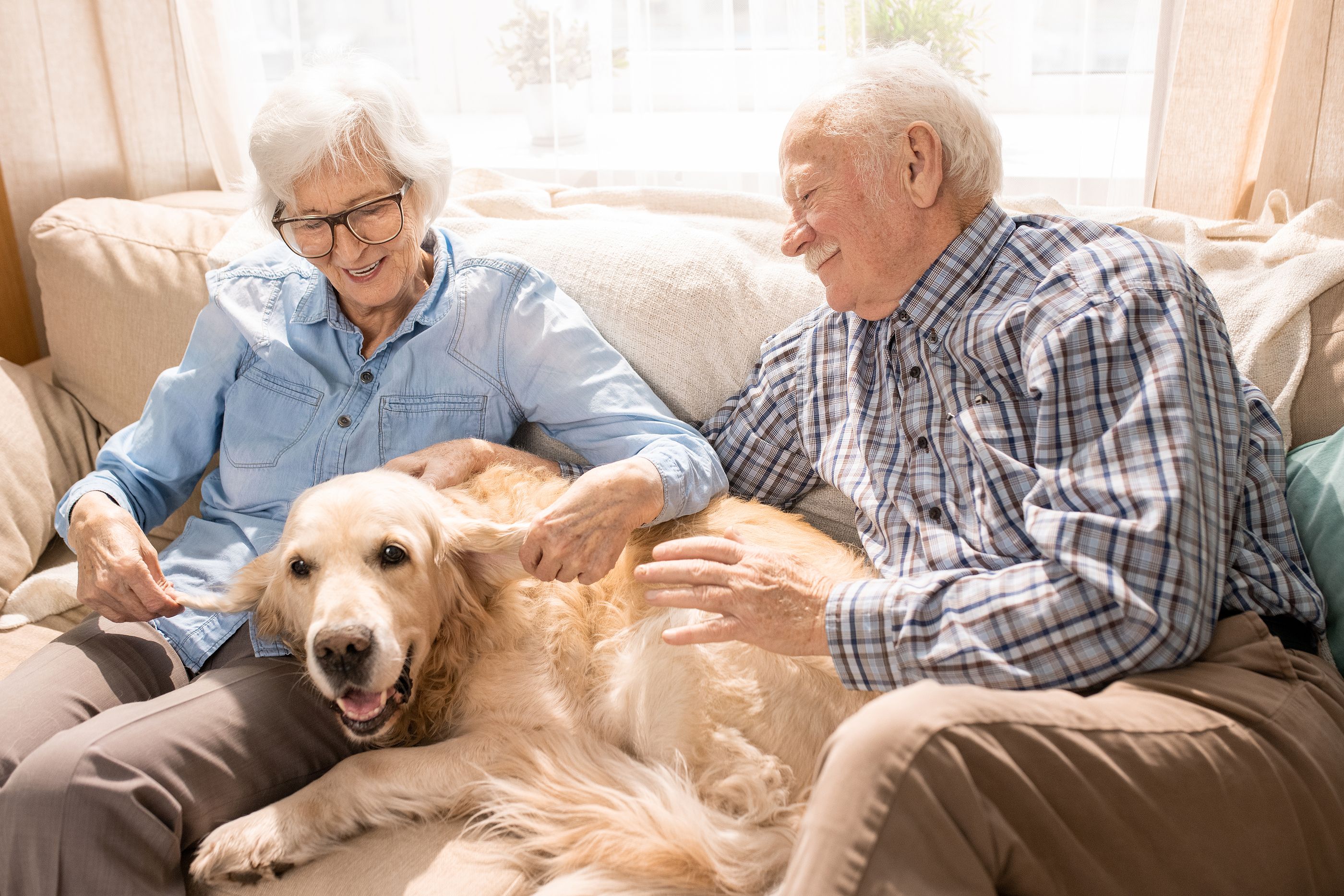 Recompensar con caricias a tu perro es un método que ayuda a adiestrarle correctamente (Bigstock)