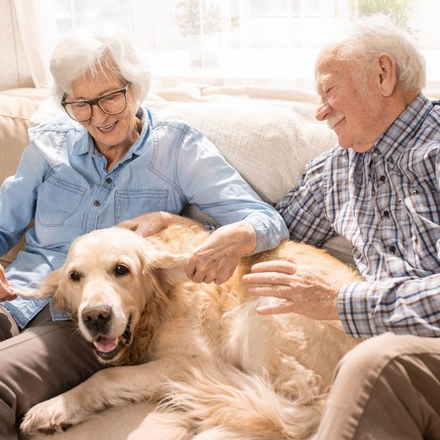 Recompensar con caricias a tu perro es un método que ayuda a adiestrarle correctamente (Bigstock)