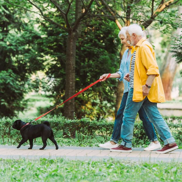 En España un tercio de las personas mayores convive con una mascota, 2,9 millones en total (Bigstock)