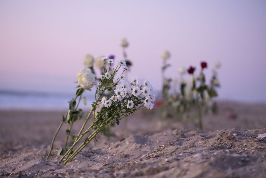 bigstock Funeral Flower Lonely White A 367565704