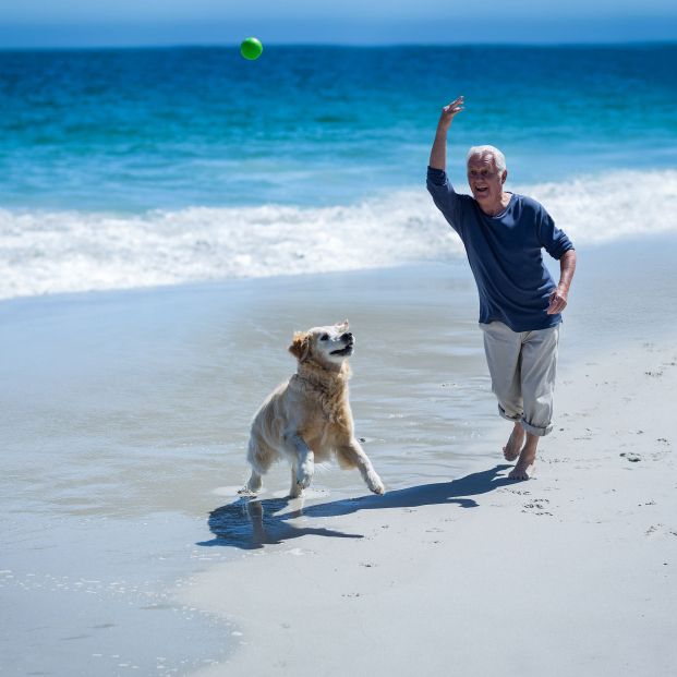En España un tercio de las personas mayores convive con una mascota, 2,9 millones en total (Bigstock)
