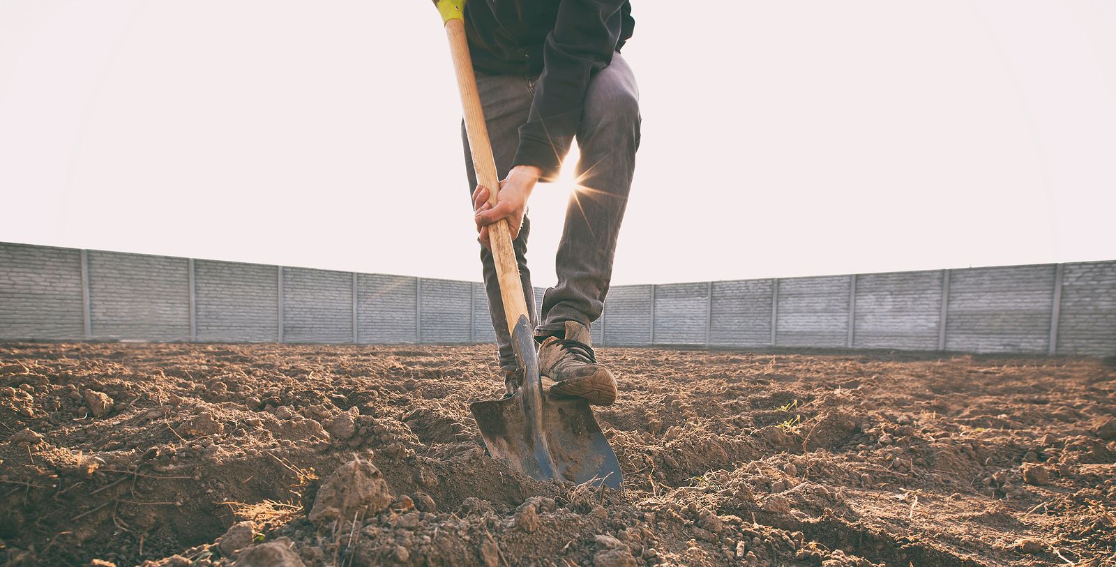 España vaciada: Los jóvenes vuelven al campo a trabajar