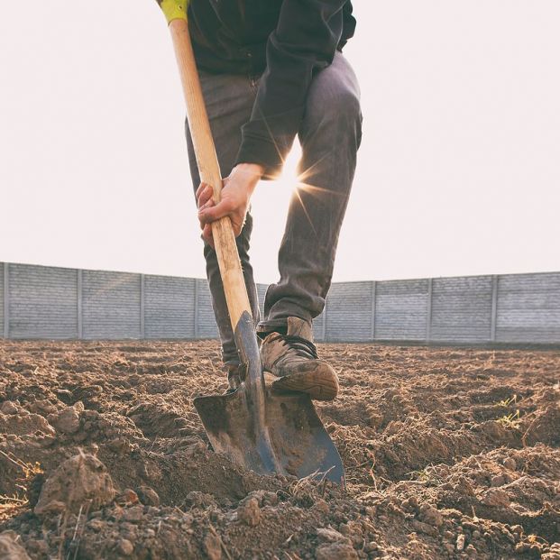 España vaciada: Los jóvenes vuelven al campo a trabajar