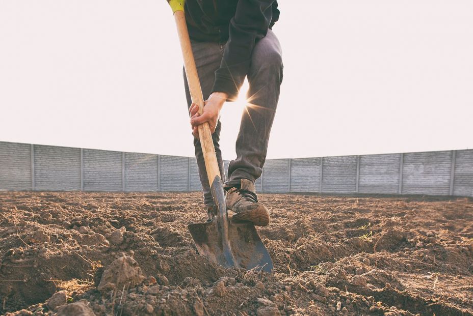 España vaciada: Los jóvenes vuelven al campo a trabajar