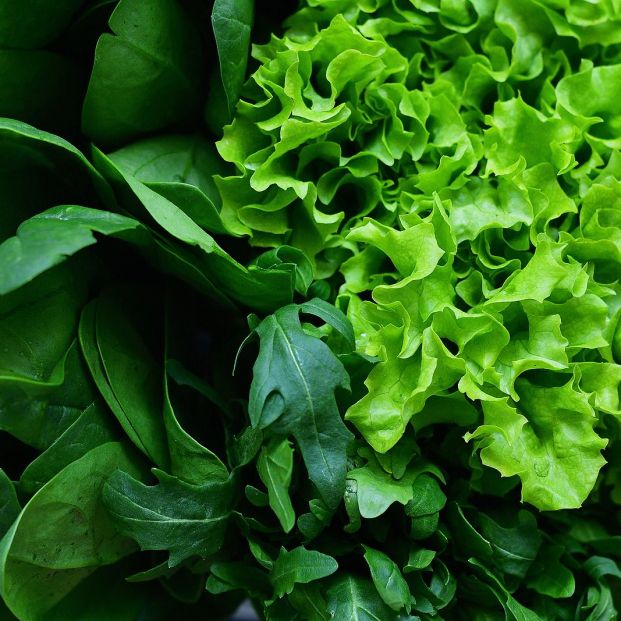 Verduras de hoja verde