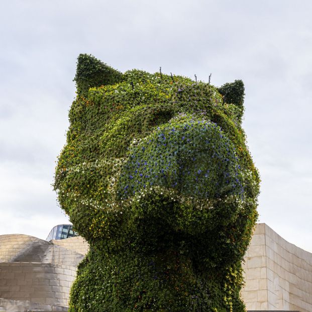 El Puppy del Museo Guggenheim Bilbao también se pone la mascarilla