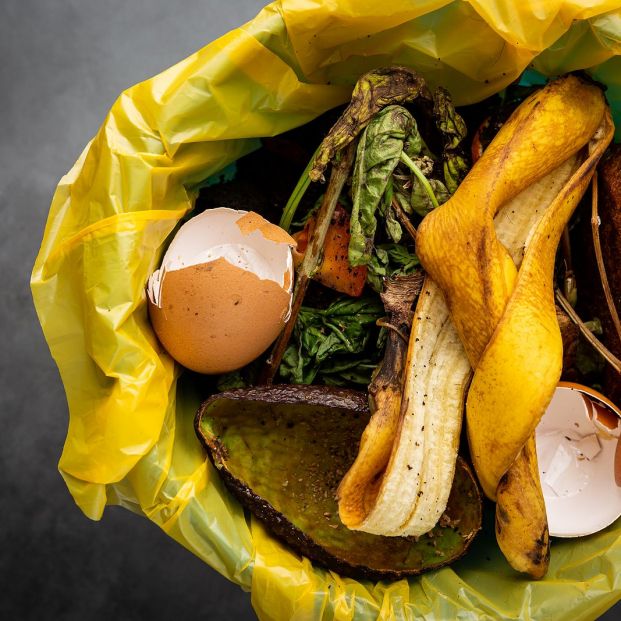 bigstock Organic Food Wastes In A Bucke 366820318
