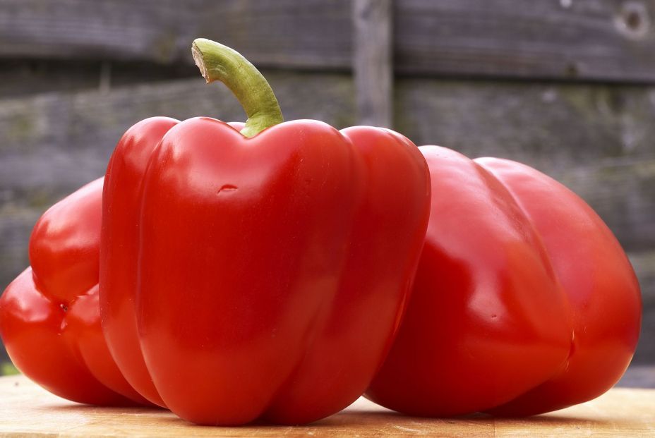 pimiento rojo