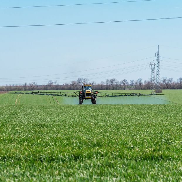 bigstock Tractor Spraying Pesticide In  367794406
