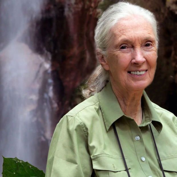 Jane Goodall