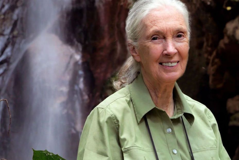 Jane Goodall Jane Goodall