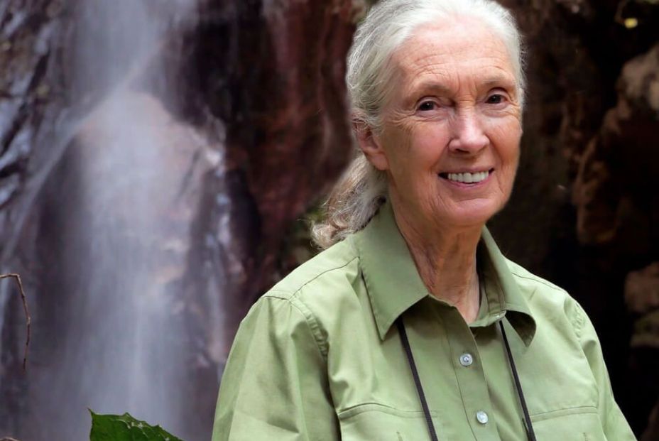 Jane Goodall