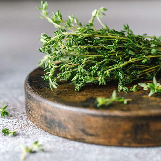 Plantas medicinales para el resfriado: tomillo