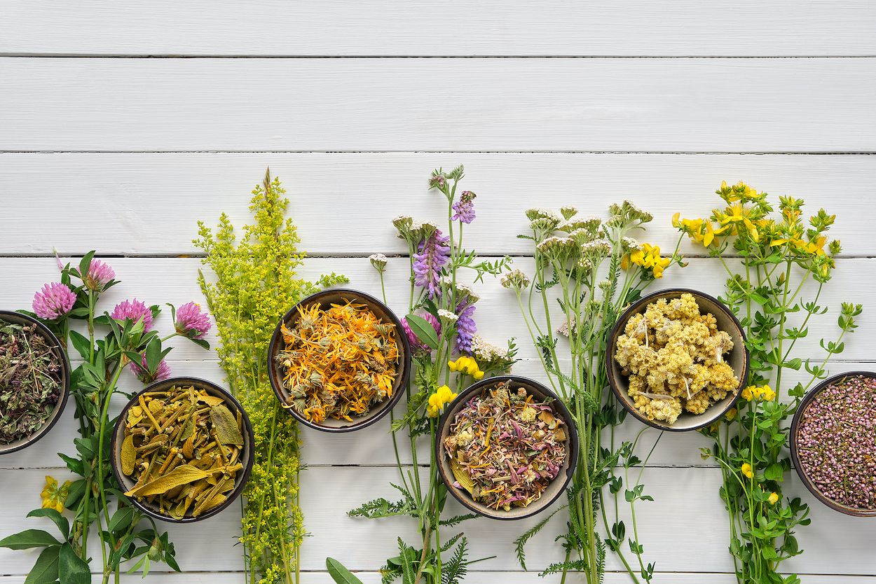 Plantas medicinales para el resfriado