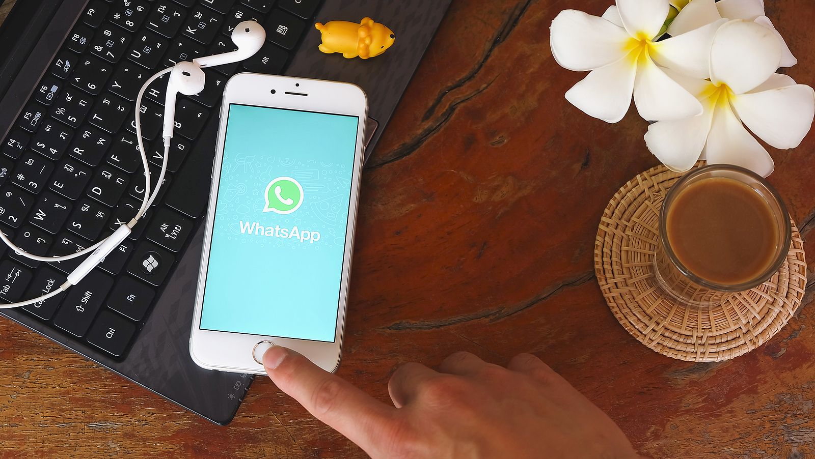 Funciones de WhatsApp que no tiene Signal, su competidora