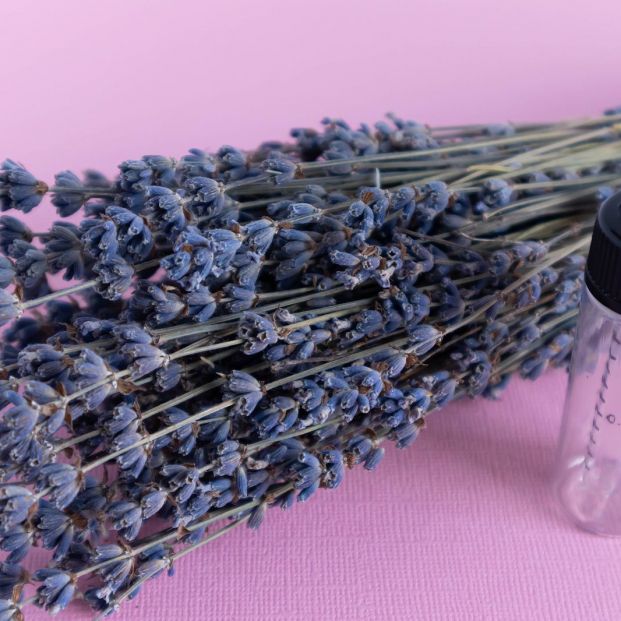 bigstock Lavender Oils Serum Lavender F 386121358