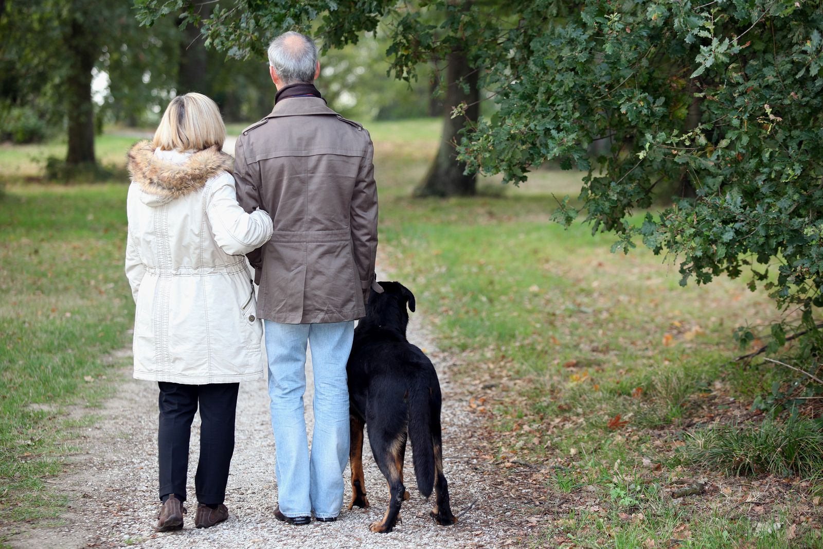 Cómo enseñar al perro a pasear (bigstock)