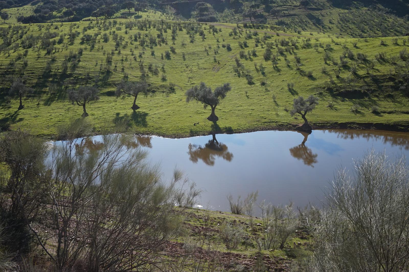 Visita la Sierra de Aracena, una escapada a la naturaleza cerca de Sevilla