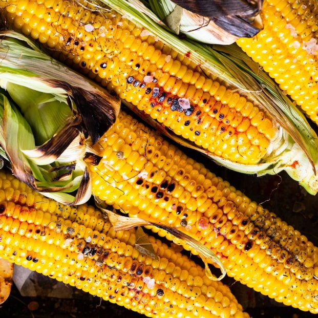 bigstock Grilled Corn On The Cob With S 384600041