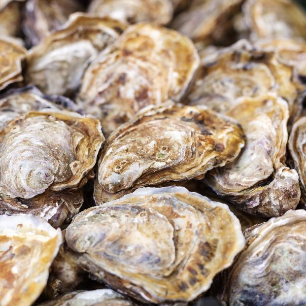 bigstock Raw Uncooked Oysters For Sale  345500656