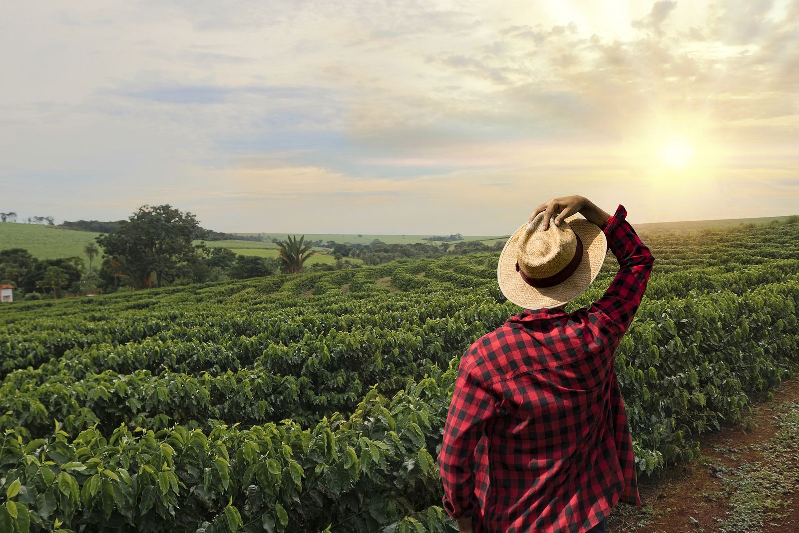 Las cabañuelas, el método tradicional de predicción meteorológica a largo plazo Las cabañuelas, el método tradicional de predicción meteorológica a largo plazo