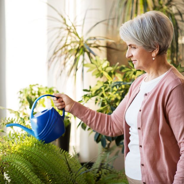 bigstock people housework and plants c 351767963