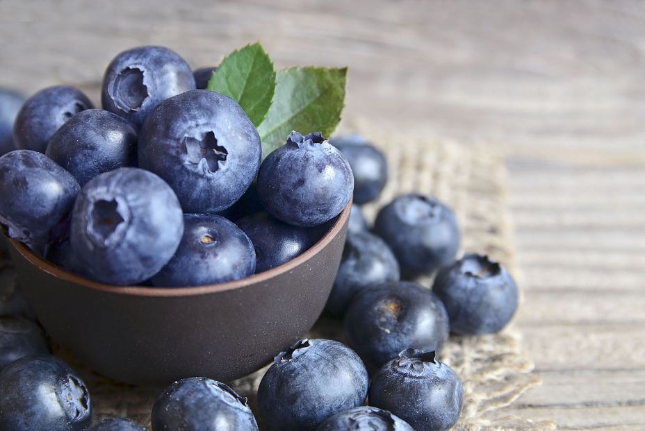 Frutas silvestres que te ayudan a mejorar la salud