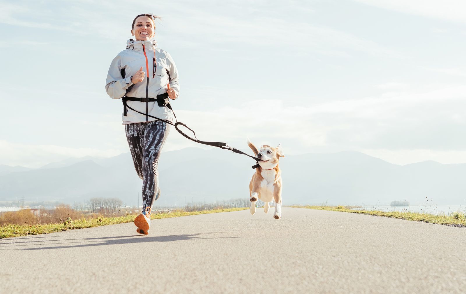 Canicross, conecta con tu perro a través de la práctica del running (big stock)