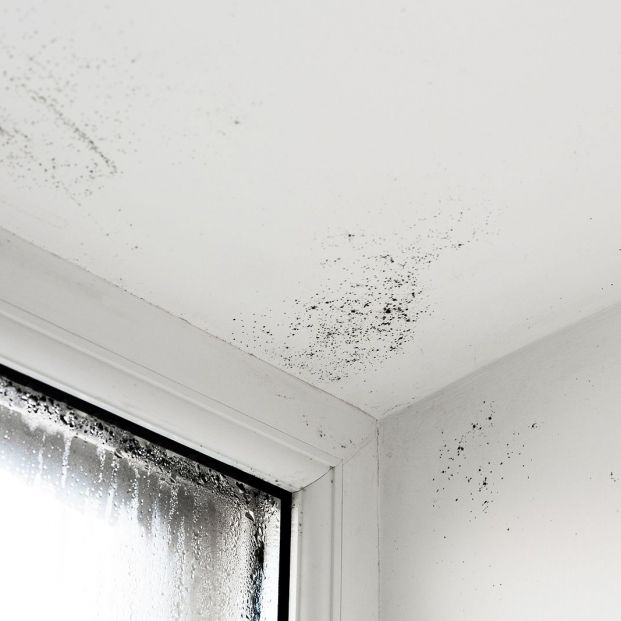 Hazte con un termómetro de ambiente para controlar la humedad en casa Foto: bigstock